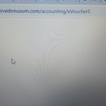 Zirve Yazılım Net Destek Alamama