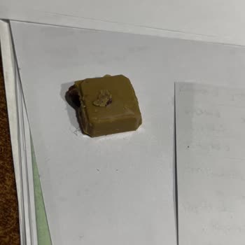 Eti Gıda Eti Gold Çikolata İçinden Kıl Çıktı