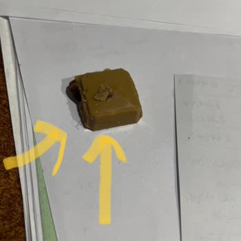 Eti Gıda Eti Gold Çikolata İçinden Kıl Çıktı