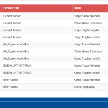 Sürat Kargo İnatla Teslim Edilmeyen Kargo