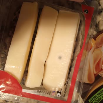 Bahçıvan Dil Peyniri Küflü Ve Kuru