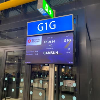 Türk Hava Yolları Zorunluluk