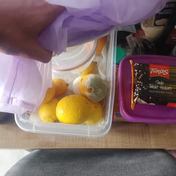 Arçelik 2181 Buzdolabı Pas Kusması