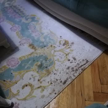 BİM Aktüel Ürünlerde Satılan Bardakların Kalitesizliği