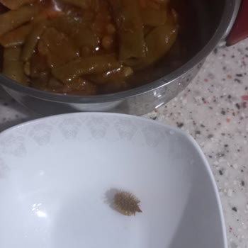 A101 Dondurulmuş Taze Fasulye İçinden Bir Şey Çıktı