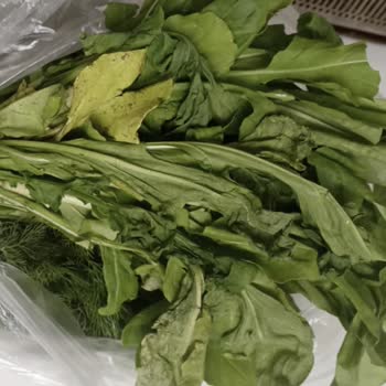 Şok Market Eksik Ve Bozuk Ürün