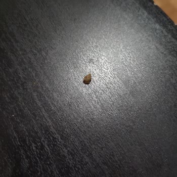 Tuğba Kuruyemişin Ürününden Taş Çıktı!