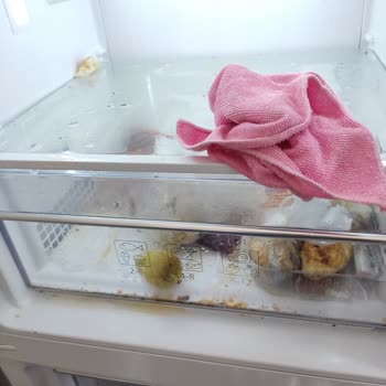 Sürekli Hata Veren Beko 7080 Ei Derin Dondurucu