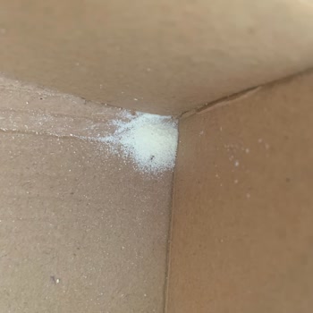 Bebelac Acık Ve Böcekli Mama