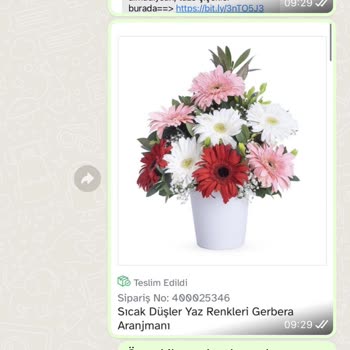 Osevio.com Teslim Edilmeyen Ürün-mahcubiyet-ilgisizlik