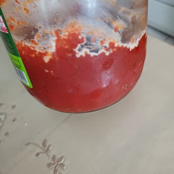 Olca Gıda Domates Salçası 1 Hafta İçinde Küf Köpürme Ve Ekşime
