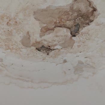 Kent Konut Evimde Çözülmeyen Su Kaçağı