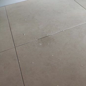 Kent Konut Evimde Çözülmeyen Su Kaçağı