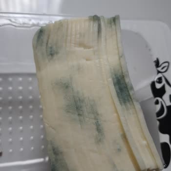 BİM Gündoğdu Gıda Tost Peyniri Küf Sorunu!