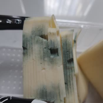 Lezzet Arayanlara (lezzetarayanlara.com) Lezzetarayanlara.com Tost Peyniri Küflü