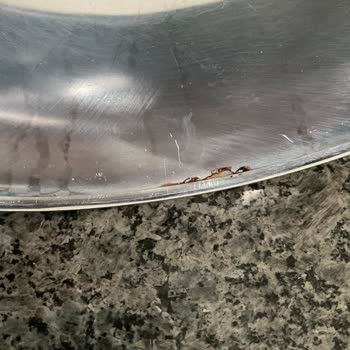 IKEA Blanda Blank Paslanmaz Çelik Kase