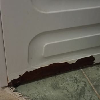Arçelik Çamaşır Makinesinin Yan Tarafındaki Çürüme
