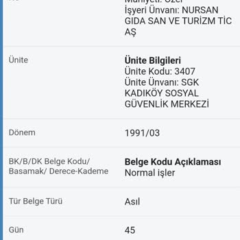 SGK Hizmet Dökümüm E-DEVLETTE Gözükmüyor.