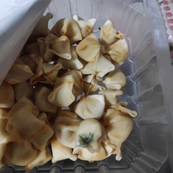 Tokana Mantı Bozuk Ve Küflü Ürün