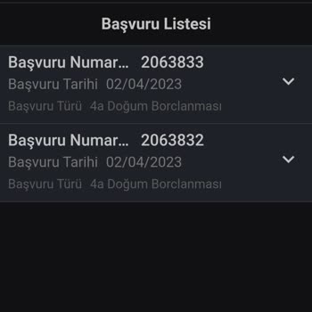 E-Devlet (Turkiye.gov.tr)  Doğum Borçlanması
