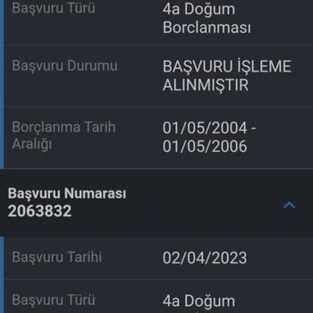 E-Devlet (Turkiye.gov.tr)  Doğum Borçlanması