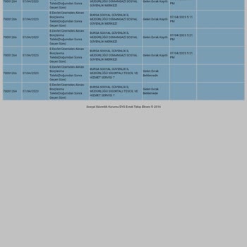 E-Devlet (Turkiye.gov.tr)  Doğum Borçlanması