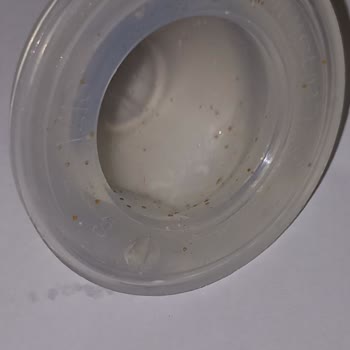 Lansinoh Biberon Ucunda Kahverengi Küf Şeklinde Lekeler