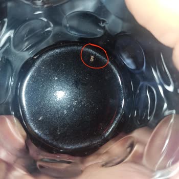 Avşar Maden Suyu 'ndan Böcek Çıktı