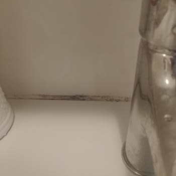 Moldrox Küf Gidericinin İş Görmezliği