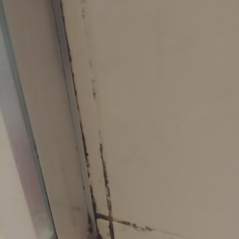 Moldrox Küf Gidericinin İş Görmezliği