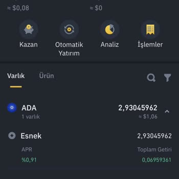 Binance Hesaptaki Param Kayboldu