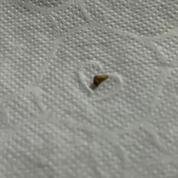 Eti Gıda Eti Çikolatadan Fıstık Kabuğu Çıktı!