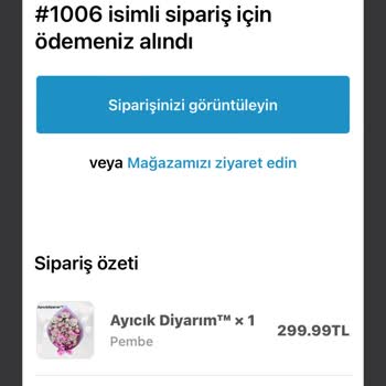 Ayıcık Diyarım Ürün Hala Bana Ulaşmadı