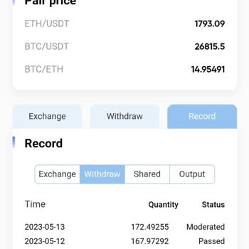 Türkiye Mining Paranın Rehinde Kalması