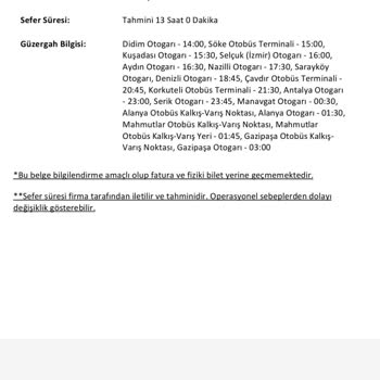 Otogar Yerine Yol Ortasında Bırakan Güney Akdeniz Seyahat