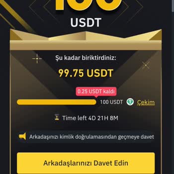 Binance 100$ Arkadaş Davet Kampanyası Ödül Problemi