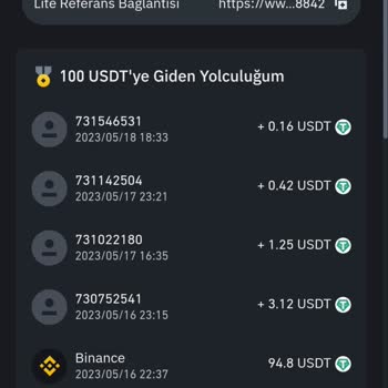 Binance 100$ Arkadaş Davet Kampanyası Ödül Problemi