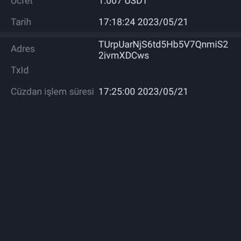 Chiliz Borsası USDT Çekim De Processing İn Wallet Yazıyor