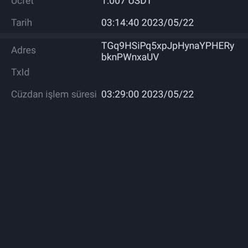 Chiliz Borsası USDT Çekim De Processing İn Wallet Yazıyor