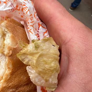 Popeyes Hamburgerin İçindeki Marul Bozuk