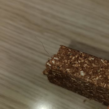 M Life Protein Bar İçerisinden Kıl Çıktı