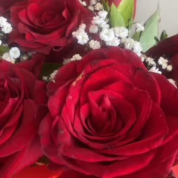 Çiçek Sepeti Çiçek Sepeti Hediye