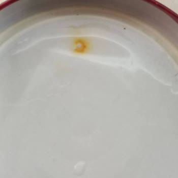 Berrak Turşuları Kapağının İçi Paslı Çıktı