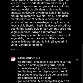 Mario Veteriner Kliniği Kedimin Tıraş Sonrası Travması