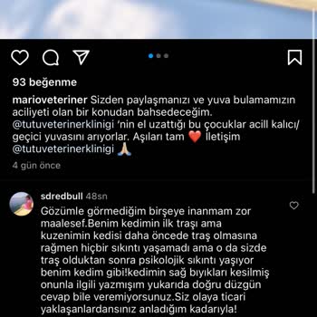 Mario Veteriner Kliniği Kedimin Tıraş Sonrası Travması