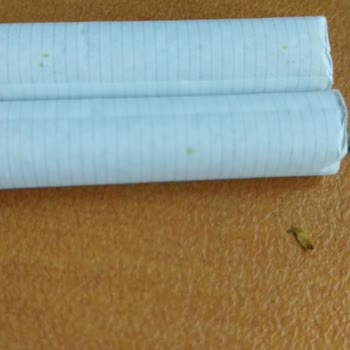 Philip Morris Aldığım Sigara Paketinde Küflenme