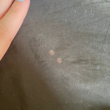 The Savage Hair Studio Şikayetim