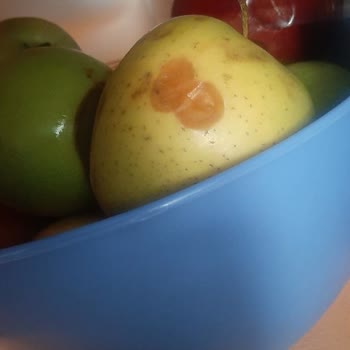 Türk Kızılay SKT'li Gıda Yardımı