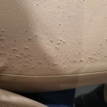 Özlem Turan Almış Olduğum Pantolon, 1 Ay İçinde 3 Kez Giydim Ve Deformasyon Oldu