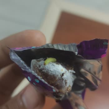 Hurmacı Müşfik Marka Bademli Hurmadan Kurt Çıktı